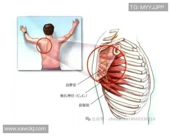 打篮球时右肩胛骨疼痛的原因及缓解方法探讨 打篮球时右肩胛骨疼痛的原因及缓解方法探讨